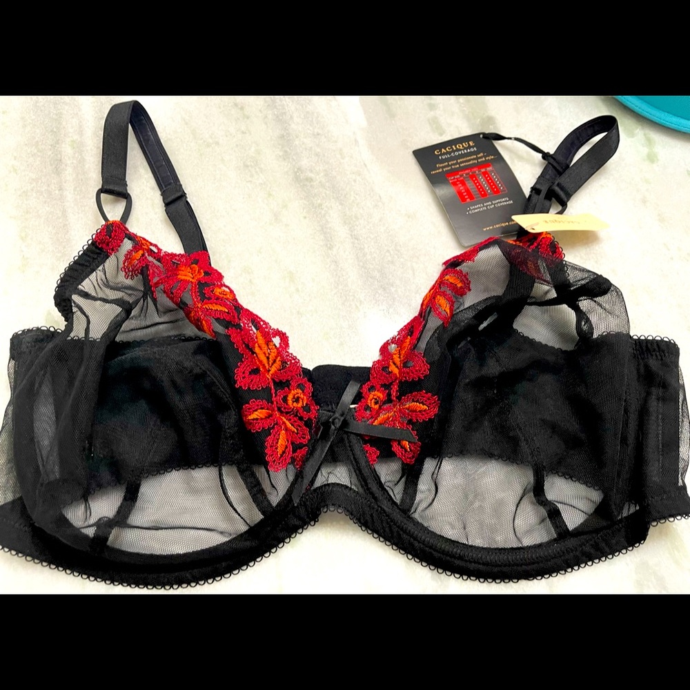 Lane Bryant Cacique “FLAUNT” black sexy see-thru full-coverage bra size 42DD NWT